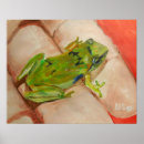 Search for tiny frog Cute animals