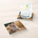 Search for pet photo coasters Dog