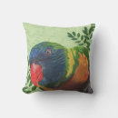 Search for green parrot cushions Macaw