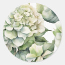 Search for white hydrangeas stickers Botanical