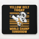 Search for taekwondo fighter electronics Daniel larusso