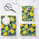 Search for lemon wrapping paper Navy blue
