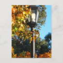 Search for lamp post Fall