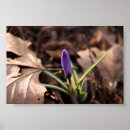 Search for wildflower abstract posters Green