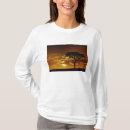 Search for acacia tree tshirts Silhouette