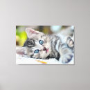 Search for baby canvas prints Domestic animals