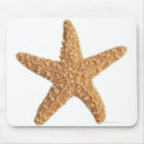 Search for creatures mousepads Sealife