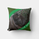 Search for koala baby cushions Green