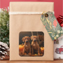 Search for rhodesian ridgeback stickers Pet