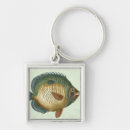 Search for fish swimming key rings Animal