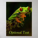 Search for frog painting posters Aquatic