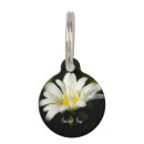 Search for daisy dog tags Floral
