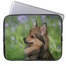 Search for pomeranian cases Dwarf spitz