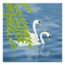 Search for pairs posters Nature