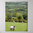 Search for dingle posters Countryside