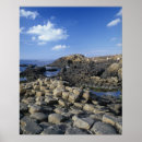 Search for giant posters Beach