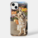 Search for alsatian iphone cases German shepherd