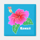 Search for hawaii magnets Blue