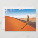Search for namibia cards Africa