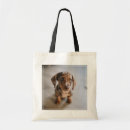Search for dappled bags Miniature dachshund