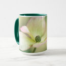 Search for dogwood mugs Blossom