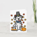 Search for dalmatian cards Orange