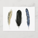 Search for softness postcards Animal