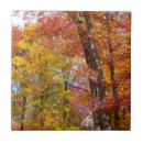 Search for orange tree tiles Forest