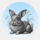 Search for grey rabbit stickers Bunny