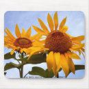 Search for sun mousepads Nature