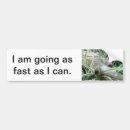 Search for sloth bumper stickers Costa rica