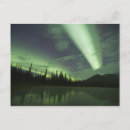 Search for tundra postcards Alaska