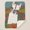 Search for funny puns blankets Llama