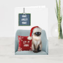 Search for siamese christmas cards Cute