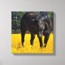 Search for yellow flower canvas prints Black eyed susan