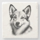 Search for natural breed Black and white
