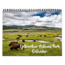 Search for bison calendars Yellowstone