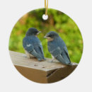 Search for swallow christmas tree decorations Nature