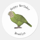 Search for nocturnal stickers Bird