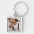 Search for put key rings Animal