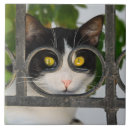 Search for photo frame tiles Cute