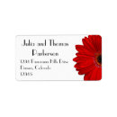 Search for red gerbera labels Daisy
