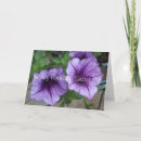 Search for playful cards Purple