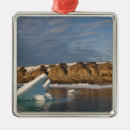 Search for cliff christmas tree decorations Europe