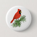 Search for cardinal bird badges Birds