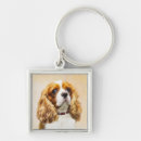 Search for cavalier king charles spaniel key rings Dog