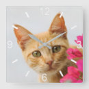 Search for ginger art Animal