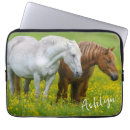 Search for thoroughbred cases Equestrian