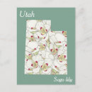 Search for utah postcards White