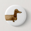 Search for dachshund badges Funny
